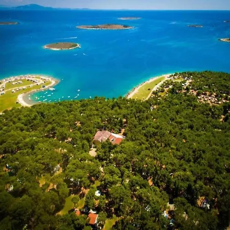 In Near Sea * سيلو