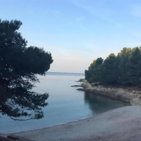 In Near Sea