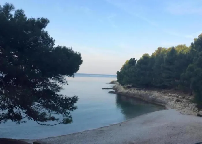 In Near Sea