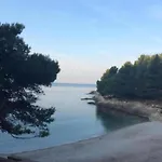 In Near Sea